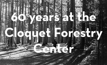 black and white photo of forests with text overlay of "60 years at the Cloquet Forestry Center"
