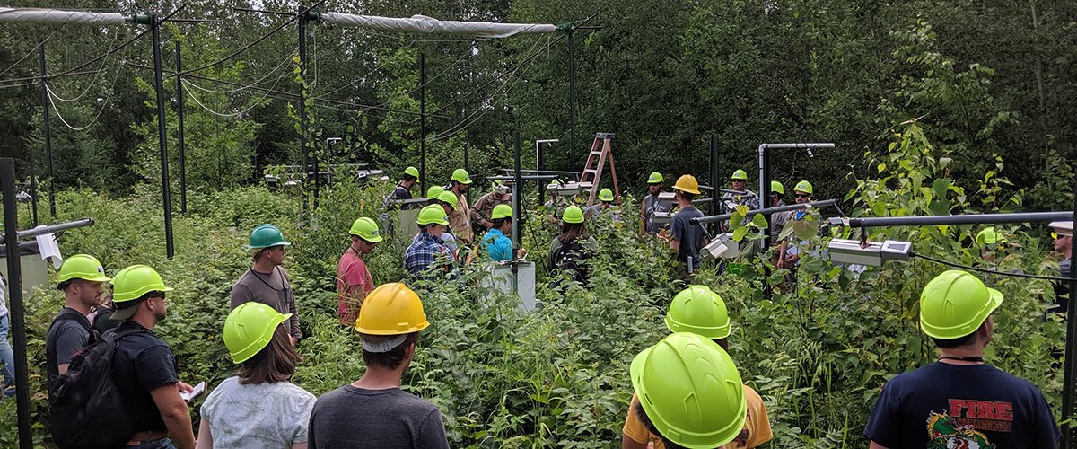 several students wearing hardhats looking at a research plot in the woods