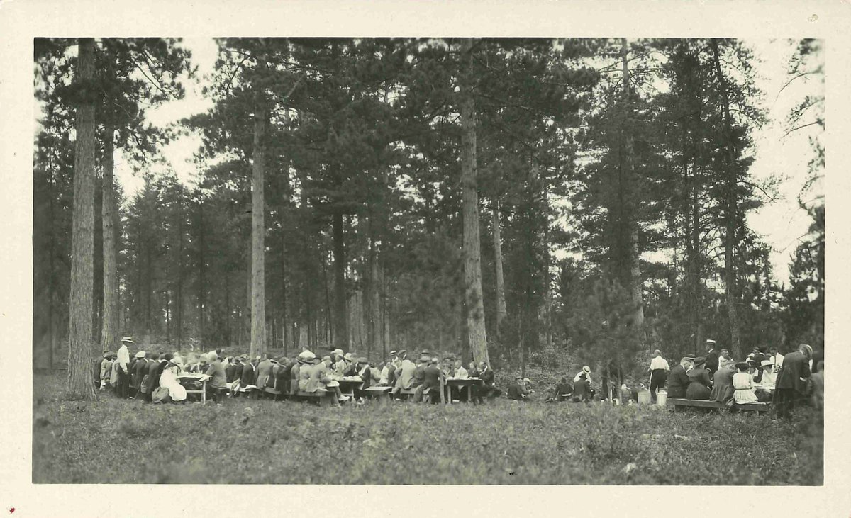 people picnicking in the woods