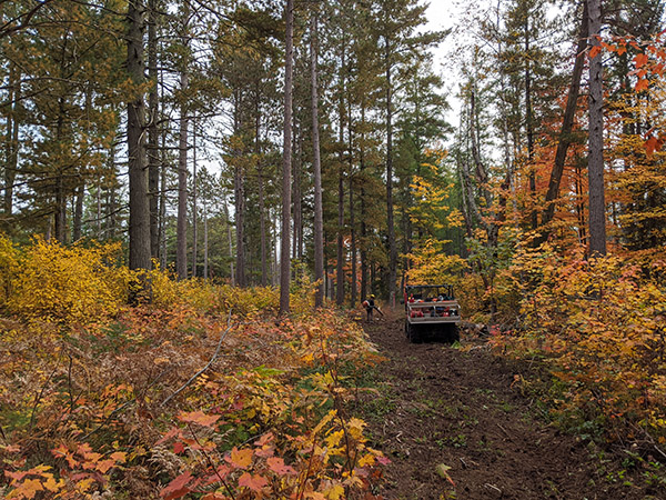 a UTV on a path that has been cleared through the forest to create fireline