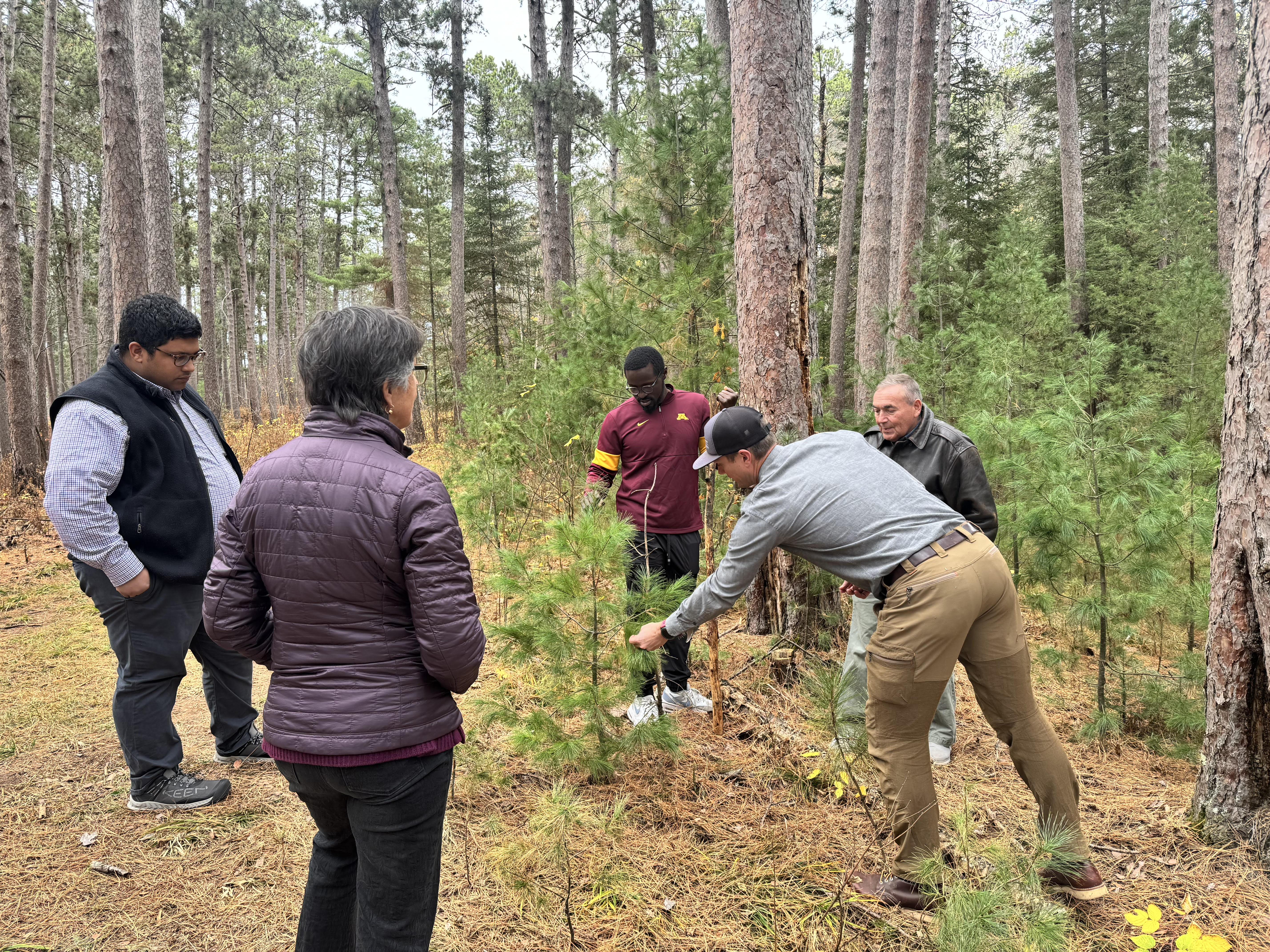 Members of the Board of Regents stand around a young pine sapling, listening to Kyle Gill speak about forestry research at CFC.