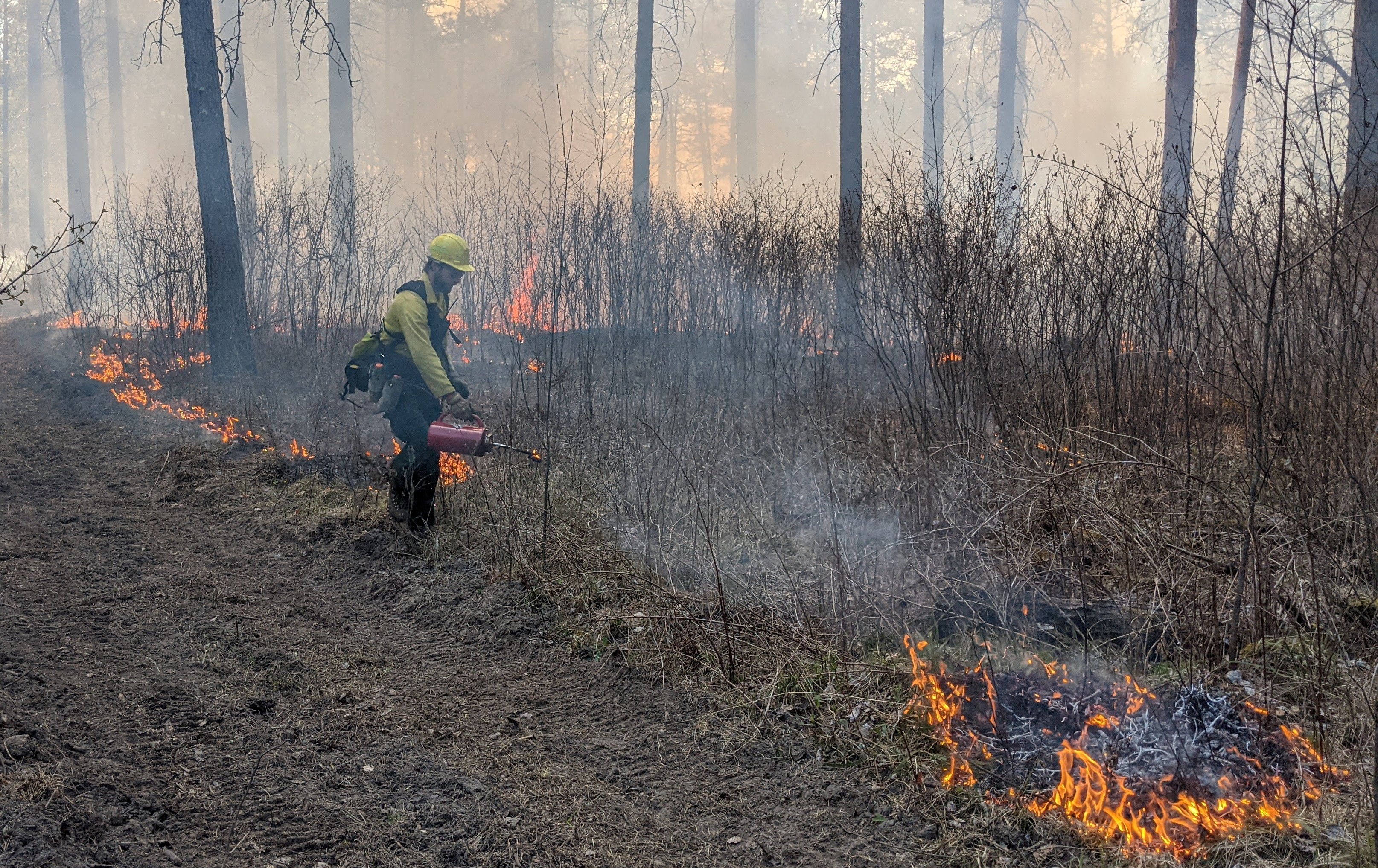 A smokey wooded area has fire spreading across the ground, led by the torch held in a fire steward's hand.