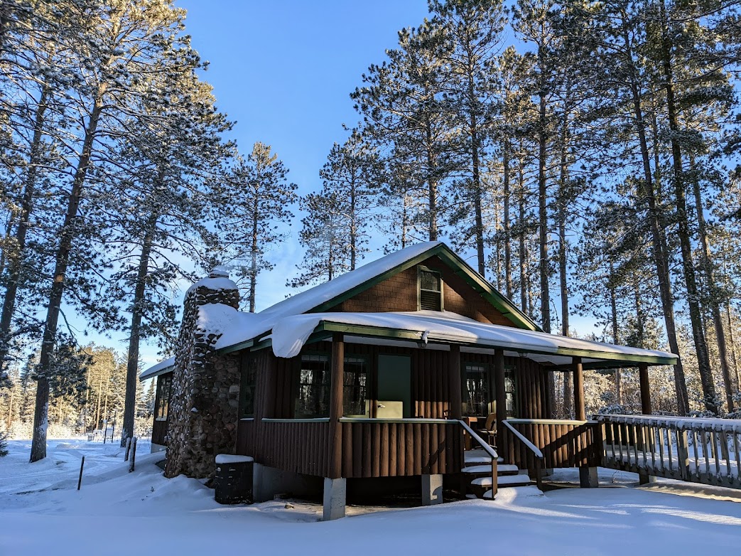 A log cabin covered in snow with tall pines in the background.