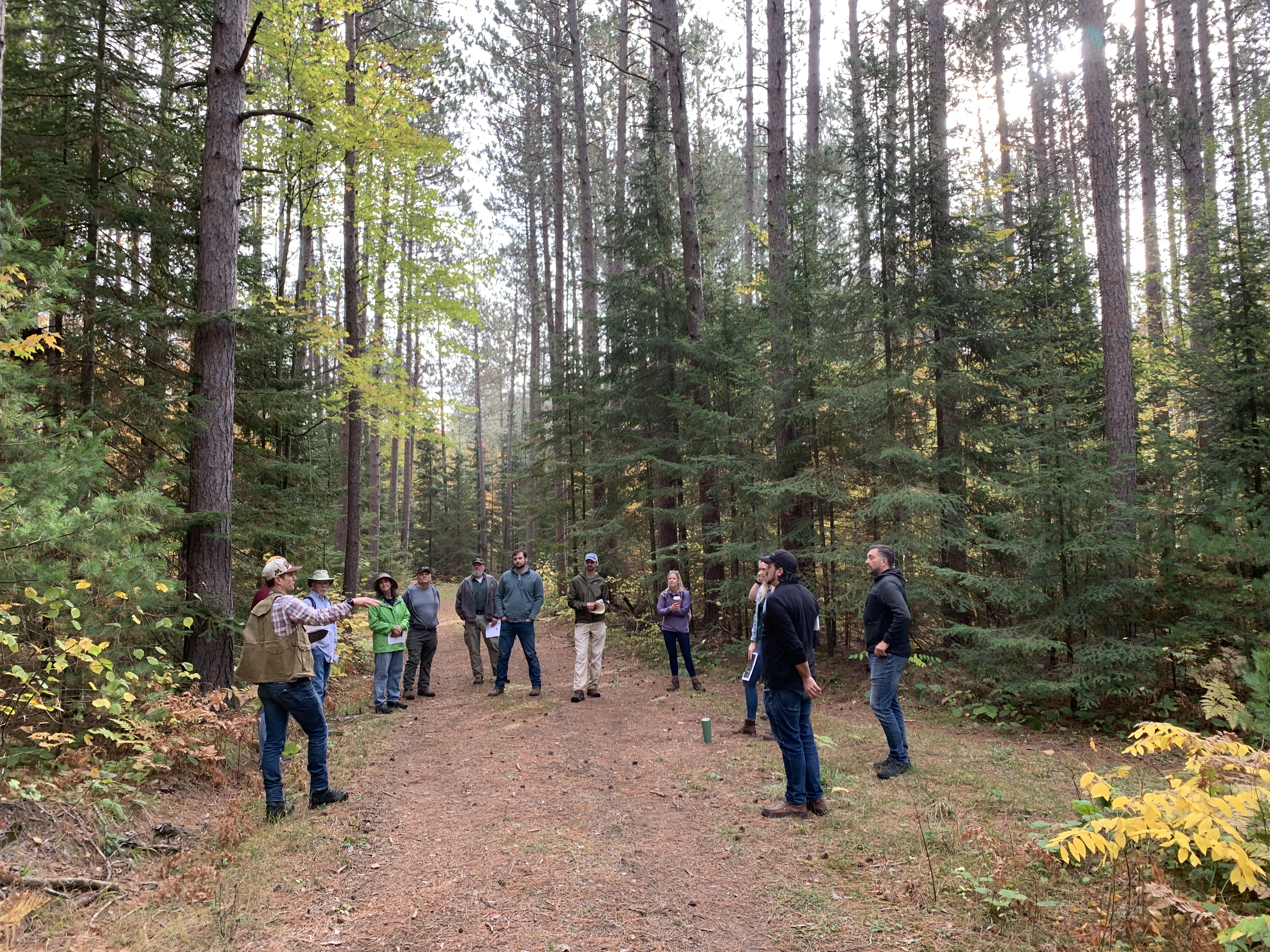 Several visitors stand on a forest road under tall pine trees.