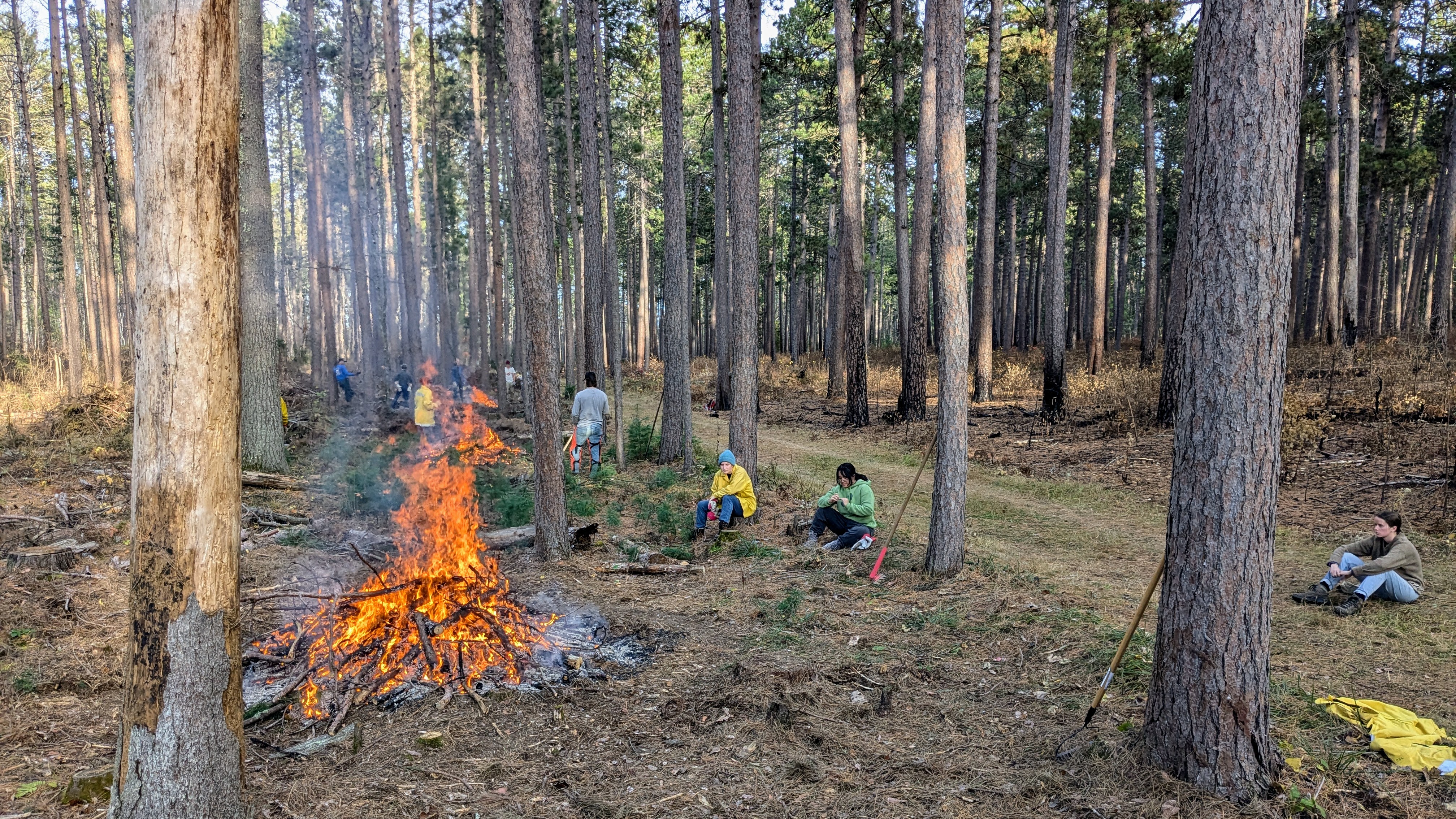 students in woods pile burning