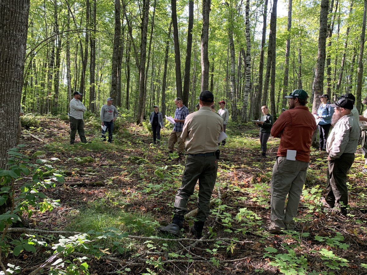 State, County, Tribal, and private land managers discuss timber harvesting as a tool to shape mesic forest ecosystems at an October 2022 SFEC workshop near Remer, MN.