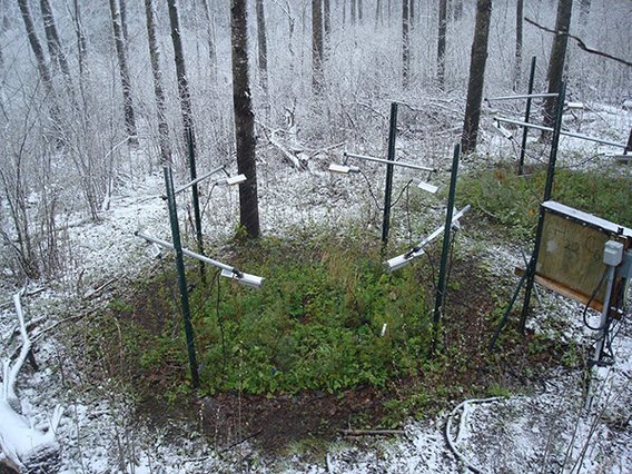 for warming and monitoring devices above a green plot of vegetation with snow surrounding the rest of the area