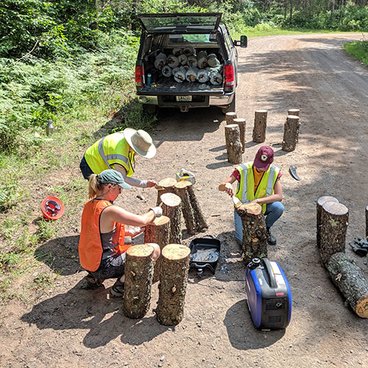 three researchers pulling samples out of logs