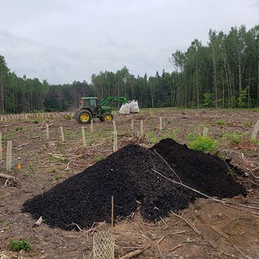 pile of dirt amidst newly planted trees with tractor in the background moving bags of biochar