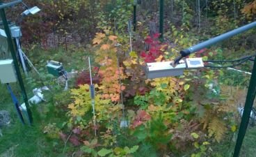 warming lamps inside wooded research plot